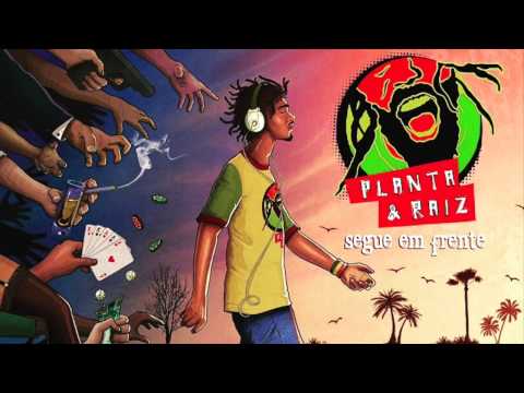 Planta &  Raiz - Disco Completo