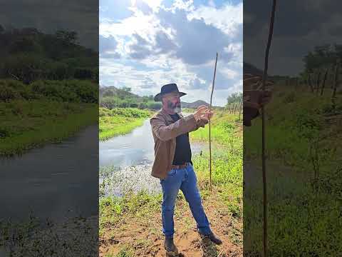 🌾 SÍTIO À VENDA ÀS MARGENS DO RIO PARAÍBA – SÃO DOMINGOS DO CARIRI-PB 🌾