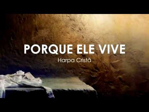 Igreja Presbiteriana video