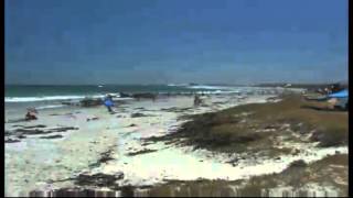 preview picture of video 'Melkbosstrand - Western Cape - South Africa'