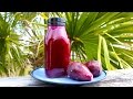 How To Make Homemade Prickly Pear Cactus Juice