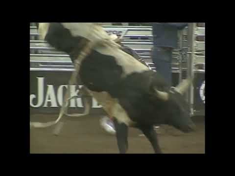 Skat Kat bucks Chris Shivers - 99 PBR Oklahoma City