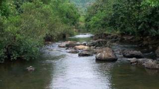 Holy Souparnika River