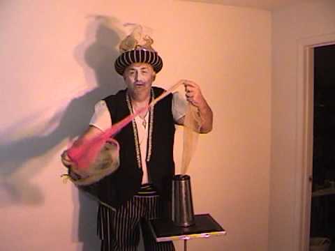 Abbott's Super Botania - Performed by the Great WaZoom a.k.a. Steve Hart