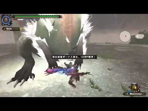 MHFZ - Lance's Shield vs White Fatalis's beam