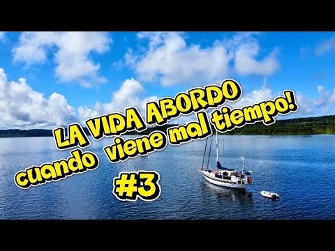 ⛵️ KIRA-KIRA | EVALUATIONS | Distance learning 📚 BAD WEATHER HAS ARRIVED ⛈️
