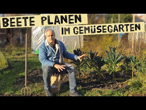 6 Punkte die du bei deiner Beetplanung,  Anbauplanung für den Gemüsegarten beachten solltest.
