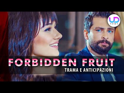 Forbidden Fruit Spoilers, Turkish Episodes: Alihan Leaves Zeynep!