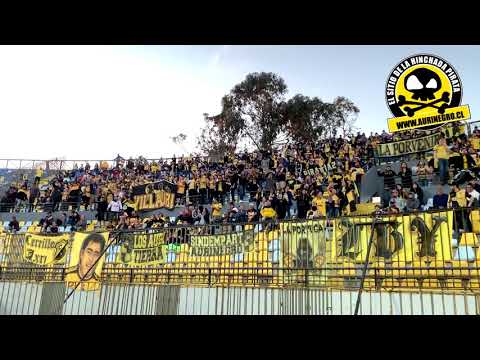 "Hinchada - Everton v/s Coquimbo Unido" Barra: Al Hueso Pirata &bull; Club: Coquimbo Unido
