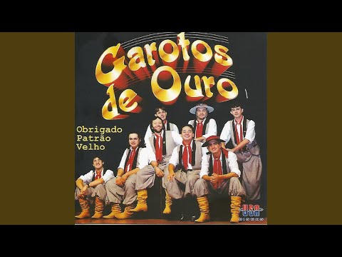 CHORA NO OMBRO DO VÉIO