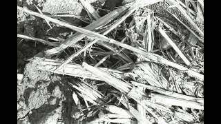 Portnoy - Der Leiermann.avi