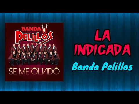 download lagu mp3 mp4 Banda Pelillos Descargar, download mp3 Banda Pelillos Descargar free download mp3, download mp3 Banda Pelillos Descargar