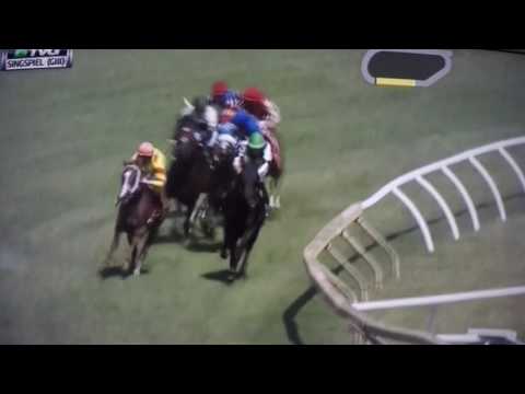 SINGSPIEL S, (G3) $150,000 2017 - ALDOUS SNOW !!!