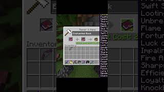 This Enchanted Book Has All Enchantments In Minecraft (mostly)  #minecraft #gaming