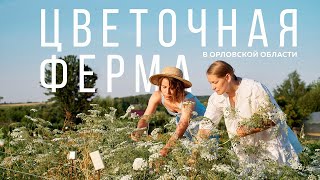 Цветочная ферма "Цветы и Травы". Документальный фильм.