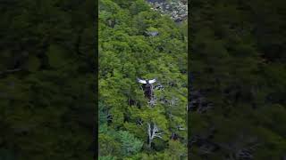 Chegando em Ushuaia ciceroneados pela majestade o Condor  #upserra #sobreamigosecaminhos  #saidosofa