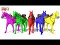 Learn Colors With Horses ChuChu Super Kids