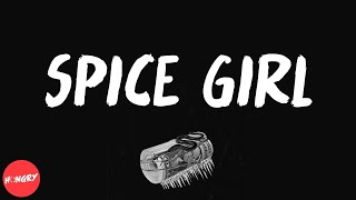 Aminé - Spice Girl (lyrics)