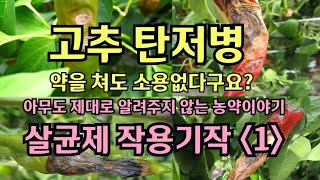고추 탄저병 살균제 작용기작(1) / 현장에서 쉽게 풀어본 농약이야기