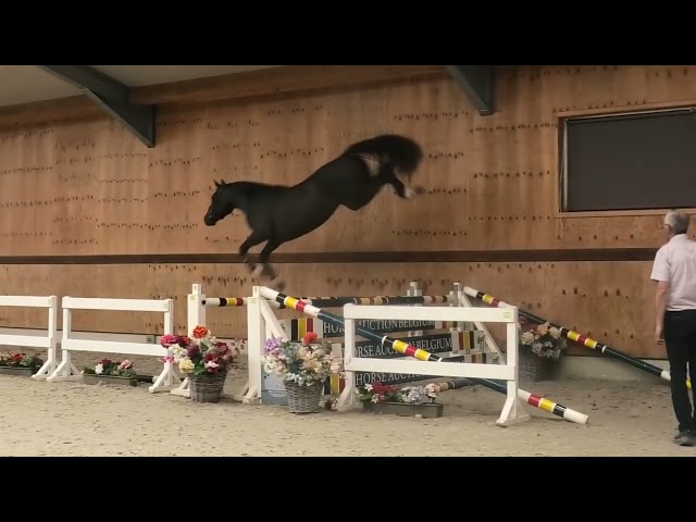Jumping