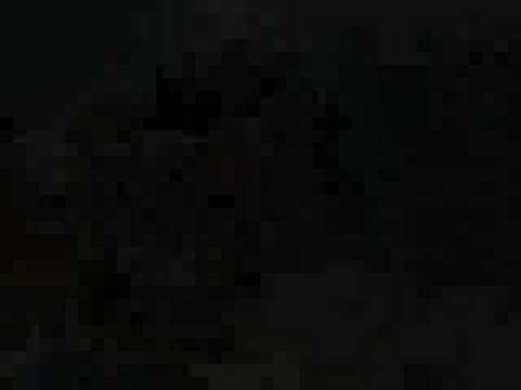 Psykopath Industries - Backyard Jam