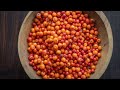Foraging and Cooking with Rowanberries