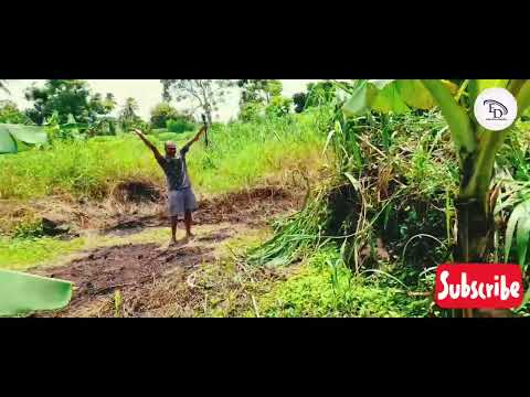 Emosi Diani [ Sasamaki Squad ] #workingday