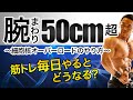 なぜ?細胞核オーバーロードで上腕50cm超え?毎日筋トレが良い理由