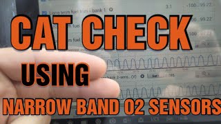 How to diagnose a p0430 or p0420