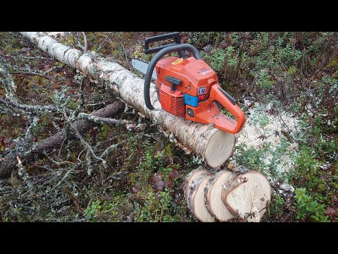 Husqvarna 242XP lyhyt esittely ja leikkuuteho