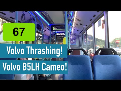 [SMRT] Cameo! - [NDP Special] SG3025Y on Trunk Service 67 [Volvo B5LH]