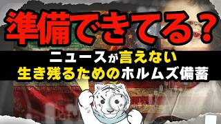【ホルムズ海峡封鎖備蓄】あなたは生き残れるか。間違ったポタ電を選んでる？節約貯金も諦めない生き残り大作戦はじめよう！