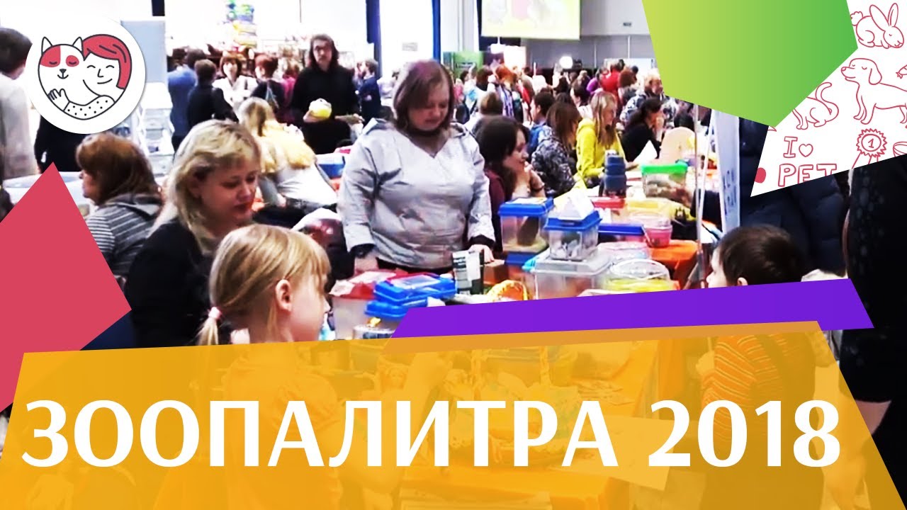 Международная выставка «Зоопалитра» на ilikepet