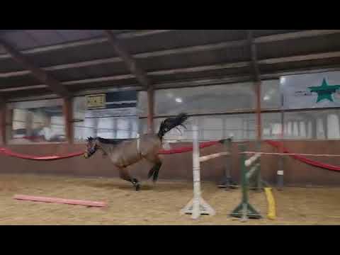 adrenalin, by Adagio de talma/For pleasure