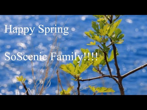 Elin Sandberg - Where the Sunflowers Bloom - Epidemic Indie