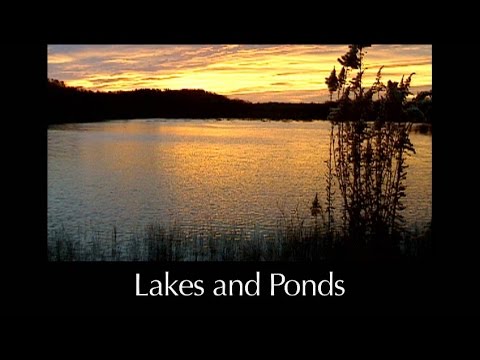 湖と池の概要の概要 - L9.0