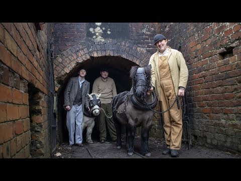 25 years since the last pit pony left the final deep coal mine in the North East
