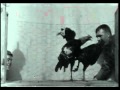 Edison Kinetoscope Films 1894 1896