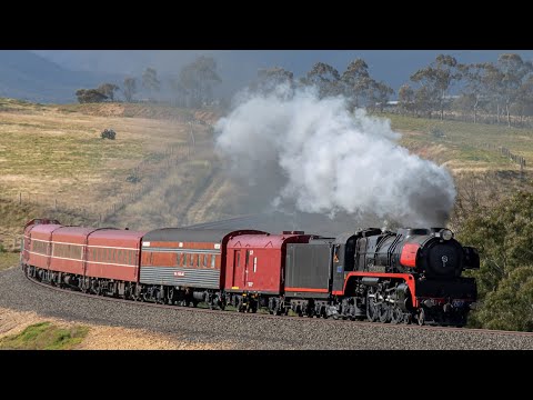 Mainline Steam Tours Return to Bacchus Marsh! (707 Operations' Picnic Express) | R707, Y127