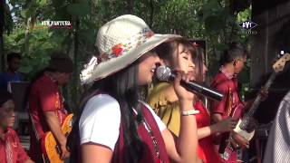 Download lagu Acha kumala - Kehilangan Tongkat | NEW PANTURA LIVE KLEWOR KEMUSU mp3