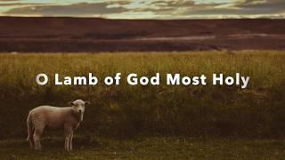 O Lamb of God Most Holy!