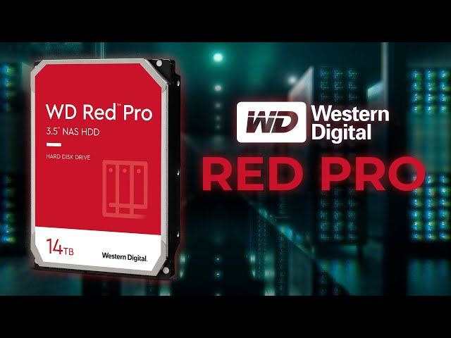 Vídeo relacionado con Western Digital Red Plus 3.5" 8000 GB Serial ATA III