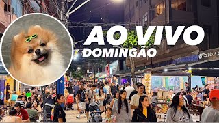 BALNEÁRIO CAMBORIÚ AO VIVO