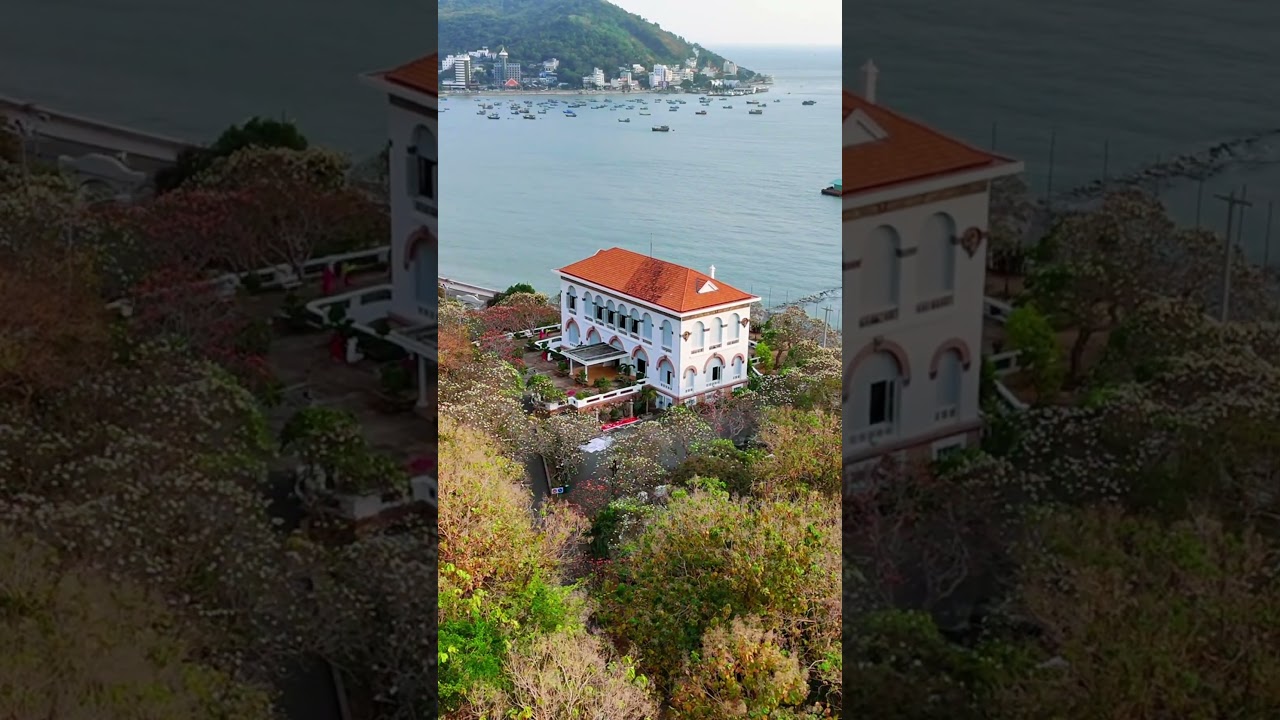 YouTube Short thumbnail