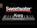 Korg Monologue Analog Synth Review — Daniel Fisher