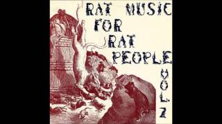 Butthole Surfers - 01 - Rat Music For Rat People vol 2 - Butthole Surfers Theme Song