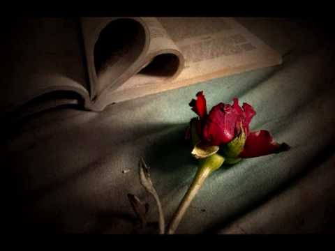 To Mitooni ღ Shahram Shabpare & Black Cats