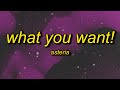 Asteria WHAT YOU WANT Feat Hatsune Miku Lyrics
