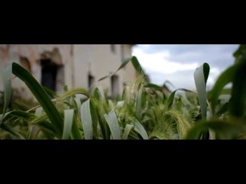 El Nene La Amenaza – Vas A Repetirlo (VIDEO OFICIAL) (2016 Y 2017)