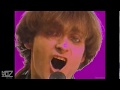 Le Hoodoo Gurus - Leilani (1982)